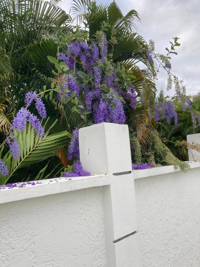 סן-פרנסואה Les Nuits Galantes Mandevilla Maison Privee Avec Jacuzzi מראה חיצוני תמונה